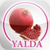 yalda-icon